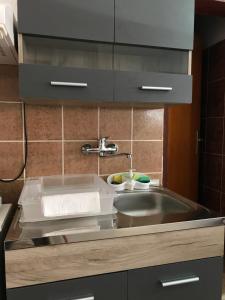 Kuchyň nebo kuchyňský kout v ubytování Apartman studio Milojkovic + 33 fotografií