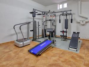 Centrul de fitness și/sau facilități de fitness de la casaDaniel