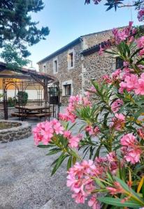 um ramo de flores cor-de-rosa em frente a um edifício em Hôtel du cros d'Auzon em Saint-Maurice-dʼArdèche