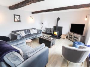 a living room with couches and a tv and a fireplace at Cae Adar Farm in Wrexham