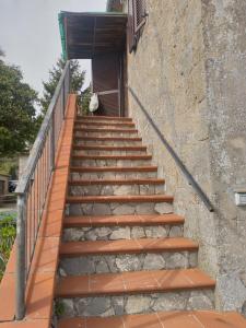 eine Treppe, die zu einem Gebäude führt in der Unterkunft Casa di montagna con spazio all'aperto 