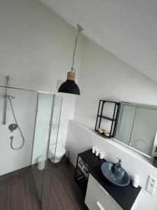 Phòng tắm tại Traumhafte neue Dachterrassenwohnung am Soyener See