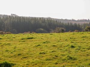 Paesaggio naturale nelle vicinanze della casa vacanze