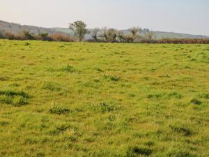 Paesaggio naturale nelle vicinanze della casa vacanze