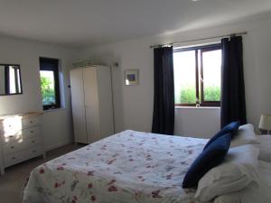 a bedroom with a bed with a blue pillow on it at Ty Aelwyd in St. Davids