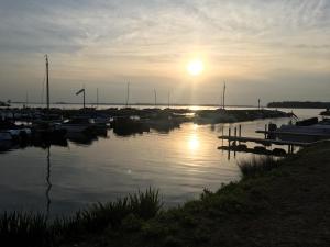 un gruppo di imbarcazioni ormeggiate in un porto turistico al tramonto di Fraai Tiny House aan het veluwemeer met uitzicht & veranda a Hulshorst