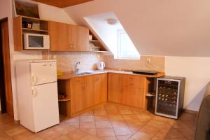 Kuchyň nebo kuchyňský kout v ubytování Apartmán vinařství U Krčků + 2 fotografie