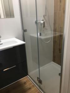 a shower with a glass door next to a sink at BALTIC VIBES APARTAMENT in Kołobrzeg