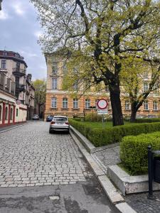 レグニツァにあるApartament Plac Klasztornyのレンガの道の脇に駐車された車