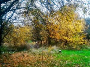A garden outside La Yurta de Gaia