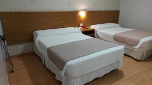 Postel nebo postele na pokoji v ubytování Hotel Rafain Centro