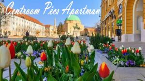 Miestna pamiatka v blízkosti apartmánu
