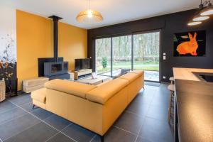 ein Wohnzimmer mit einem Sofa und einem Kamin in der Unterkunft Aux Petits Lapins de Sorval, sauna privé, fitness in Selvigny