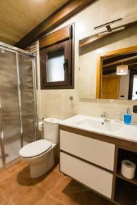 a bathroom with a toilet and a sink and a shower at Casa Rural Entreolivos in Villarrubia de los Ojos