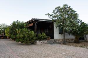 Κήπος έξω από το Casa Rural Entreolivos