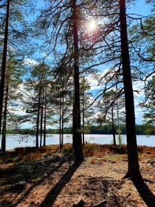 Fotografie z fotogalerie ubytování Schnieders2German forest room v destinaci Harmånger