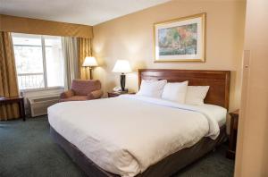 Katil atau katil-katil dalam bilik di Grand Idaho Extended Stay +22 gambar