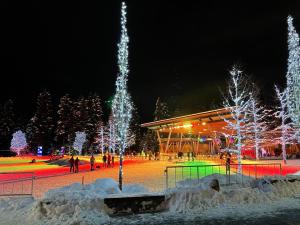 un gruppo di luci di Natale in un parco di notte di Tyndall Stone Lodge by Whiski Jack a Whistler