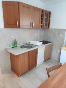 Kuchyňa alebo kuchynka v ubytovaní Apartment Dalma