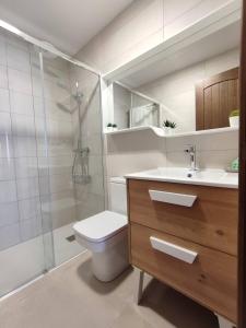 een badkamer met een douche, een toilet en een wastafel bij PEÑAFIEL DREAMS CON JACUZZI 4 PERSONAS in Peñafiel