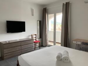 a bedroom with a bed and a tv and a window at Soleil Corse in Saint-Florent