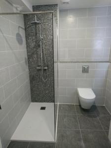 サン・フロランにあるT3 la salamandreのバスルーム(シャワー、トイレ付)