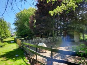 Zahrada ubytování B&B Emmylou
