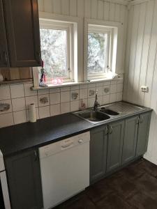 a kitchen with gray cabinets and a sink and two windows at Hytte i skjærgården in Kristiansand