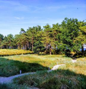 Fotografie z fotogalerie ubytování Strandresidenz Appartement Dünenwald G44 v destinaci Binz