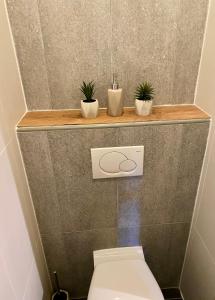 a bathroom with a toilet with two plants on a shelf at Le REFUGE DES PORTES DU MONT BLANC in Vallorcine