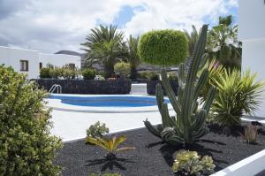 a garden with cactuses and a swimming pool at Apartments Casa Blanca in Charco del Palo