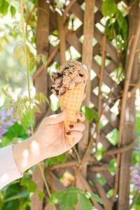 a hand holding a chocolate chunk ice cream cone at Fernwood Resort in Big Sur