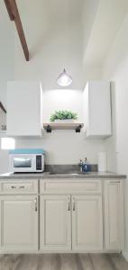 a kitchen with white cabinets and a microwave at King Size Sassy Studio in St. Petersburg