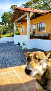 un perro está sentado frente a una casa en IVOS Hostel & Camping en Itanhandu
