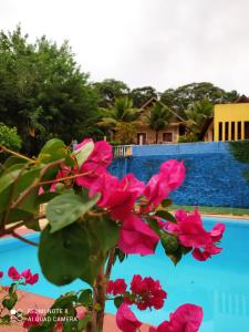 uma planta com flores cor-de-rosa em frente a uma piscina em Guaramiranga-ce Chalé do Rei em Guaramiranga