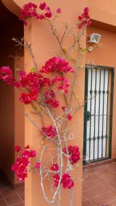 Fotografia z galérie ubytovania Spacious Ground Floor Luxury Apartment with underground parking v destinácii Castillo de Sabinillas