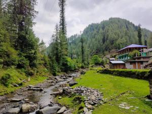 a river in the middle of a green field with trees at Alpine Homestay at Gadagusain in Banjār