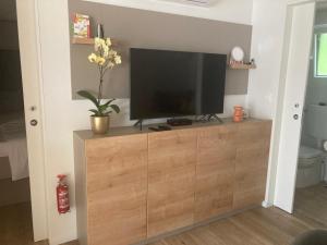 Telewizja i/lub zestaw kina domowego w obiekcie Laca