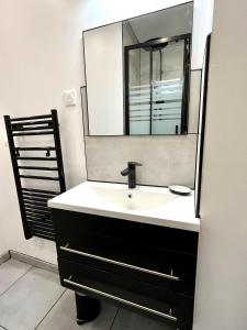 a bathroom with a sink and a mirror at Studio avec grande terrasse et parking privatifs in Caen