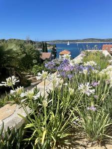 a garden with purple and white flowers and a body of water at Spacious new villa with pool above the pristine beach - FIRST SEASON PRICING!!! in Prvić Šepurine