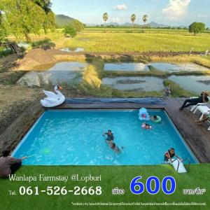 a group of people in a pool at a water park at Wanlapa Farmstay in Ban Khok Krathiam