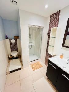 a bathroom with a shower and a toilet and a sink at Villa Bahia - bas de villa en pleine nature ! in Saint-Mitre-les-Remparts