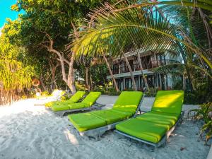 a row of green lounge chairs on the beach at Thundi Sea View in Fulidhoo