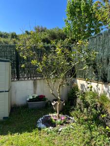 Zahrada ubytování Apartamento Lagos Azules I
