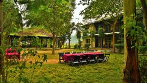 un tavolo rosso e sedie nel cortile di una casa di Hotel Parkside & Swimming Pool-Between Greenery and Azure ,Your Perfect Retreat a Chitwan