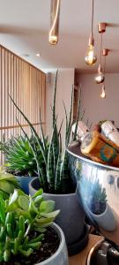 Fotografie z fotogalerie ubytování La Ferme du Soyeuru v destinaci Spa