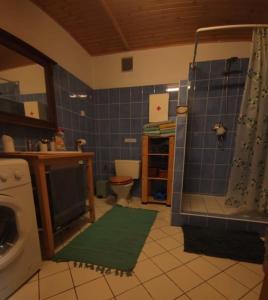 a bathroom with a shower and a sink and a toilet at Stodola in Cetenov