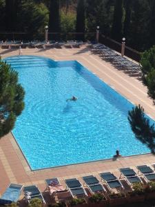 a person swimming in a large blue swimming pool at Hotel Ambasciatori in Calitri
