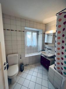 Kylpyhuone majoituspaikassa Brissago Lake Apartment