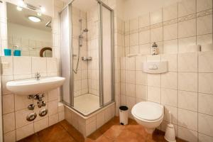 La salle de bains est pourvue d'une douche, de toilettes et d'un lavabo. dans l'établissement Residenz am Strand Wohnung 2-28, à Zingst
